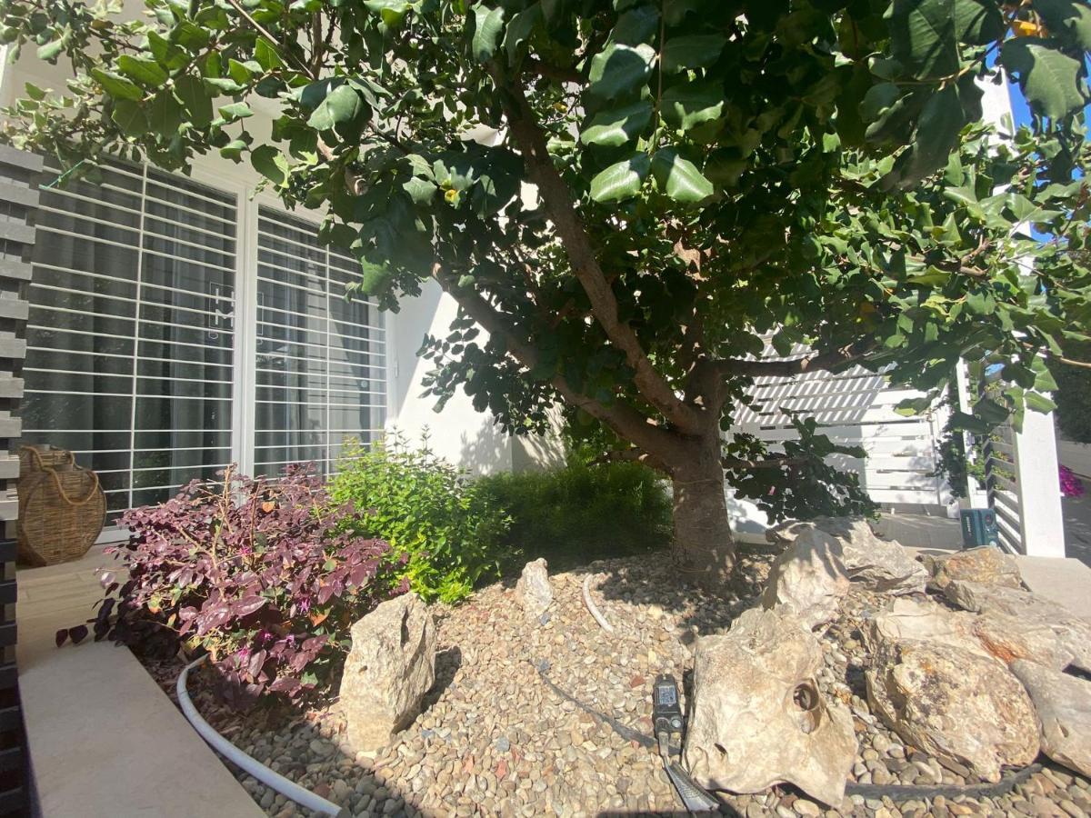 Home3 Bed Superior Room Bisceglie Exterior foto